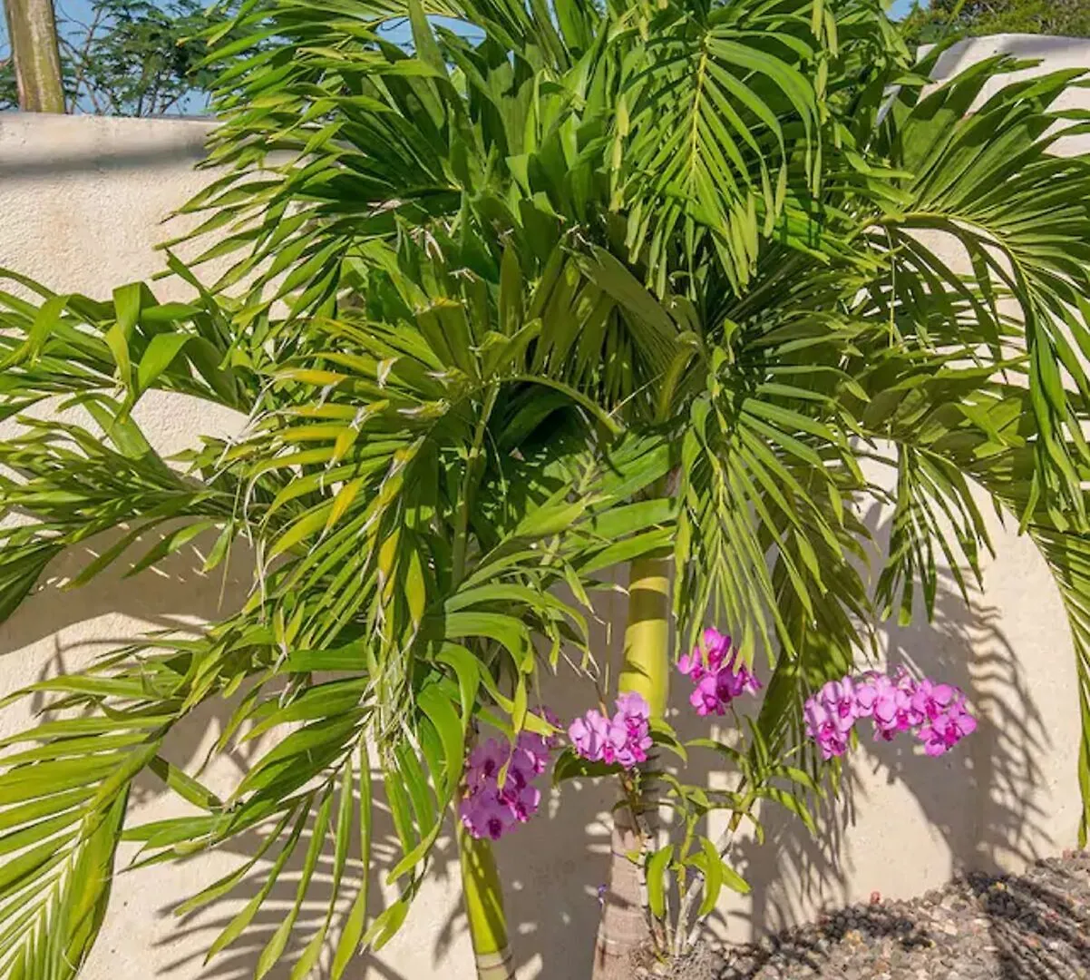 فيلا Nianna Coral Bay Splendid Townhouse مونتيغو باي جامايكا